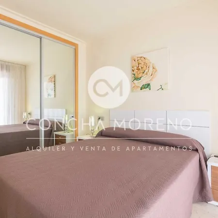 Apartamento Dorpesa X-cm